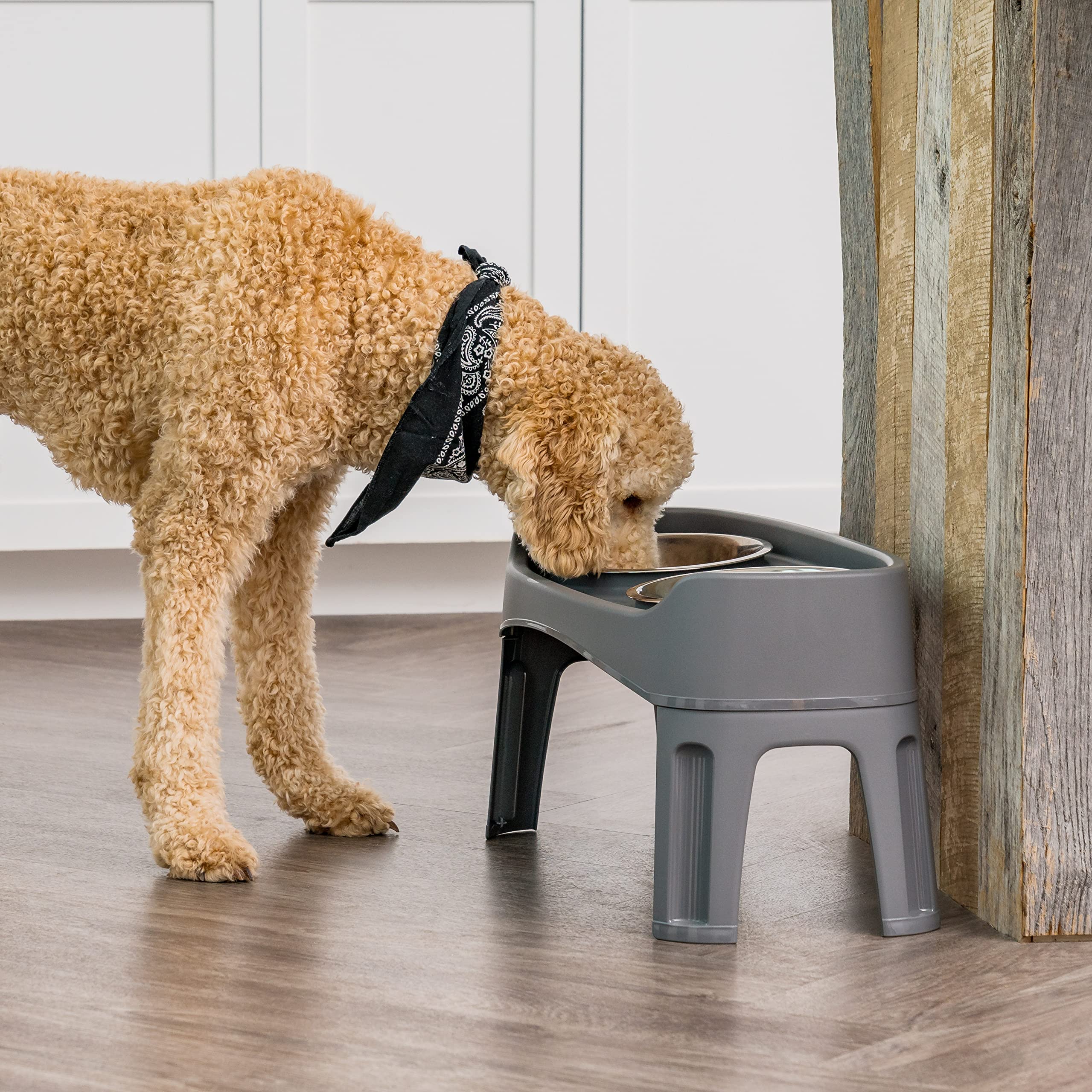IRIS USA dark-gray elevated feeder complements modern homes