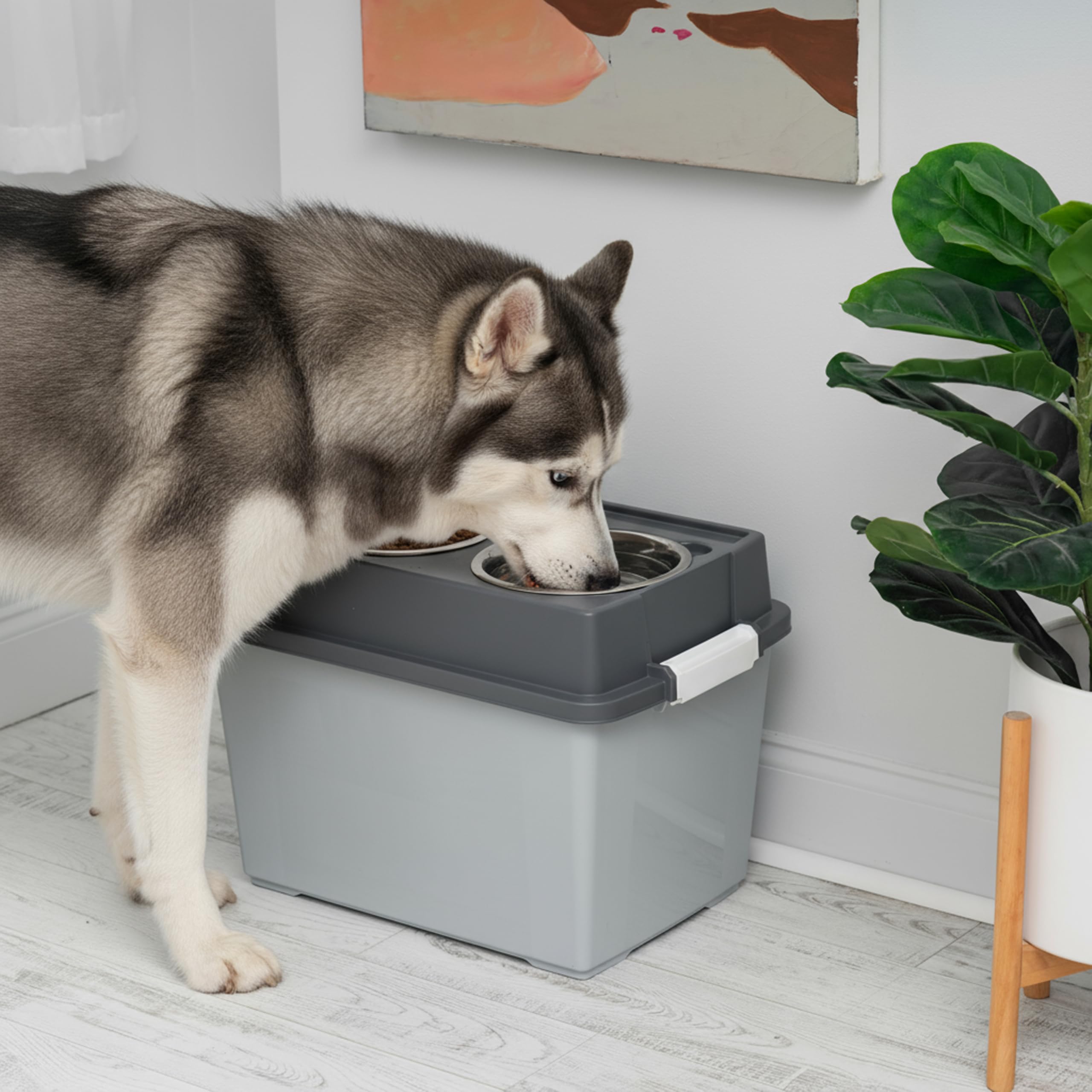 IRIS USA elevated dog feeding stand designed for large dogs