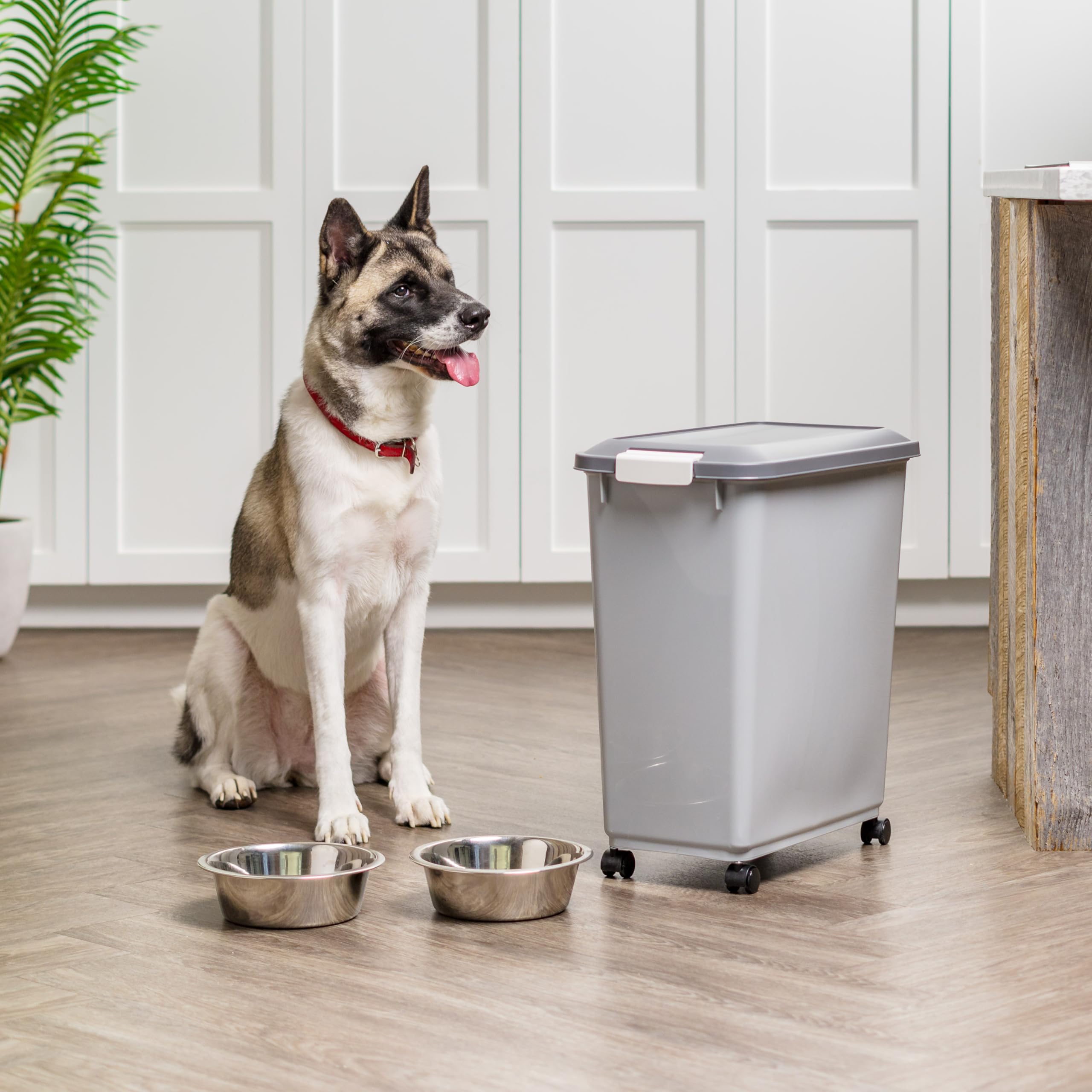 IRIS USA FDA-compliant construction supports safe dry food storage.