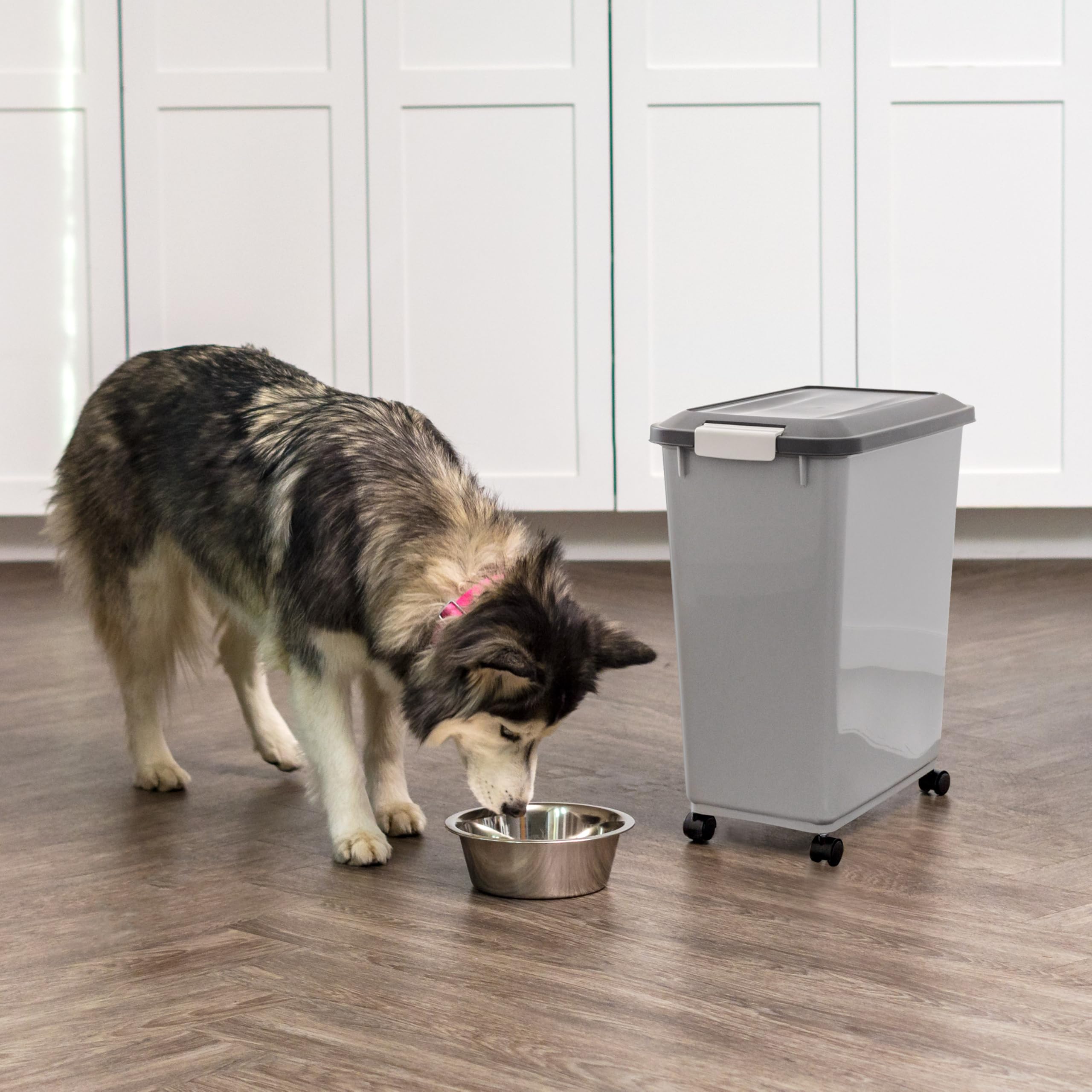IRIS USA gray dog food bin design for neat, space-saving storage.
