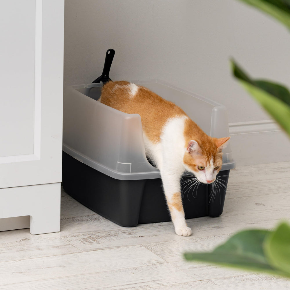 IRIS USA litter box with recessed bottom and molded-in feet for stability.