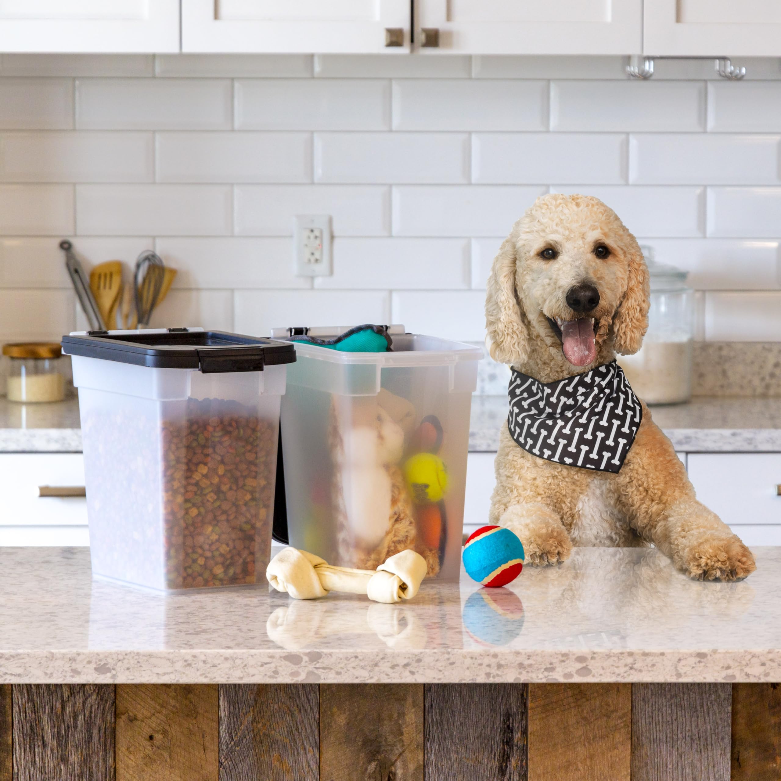 Two-pack design provides extra storage or portable pet food transport.