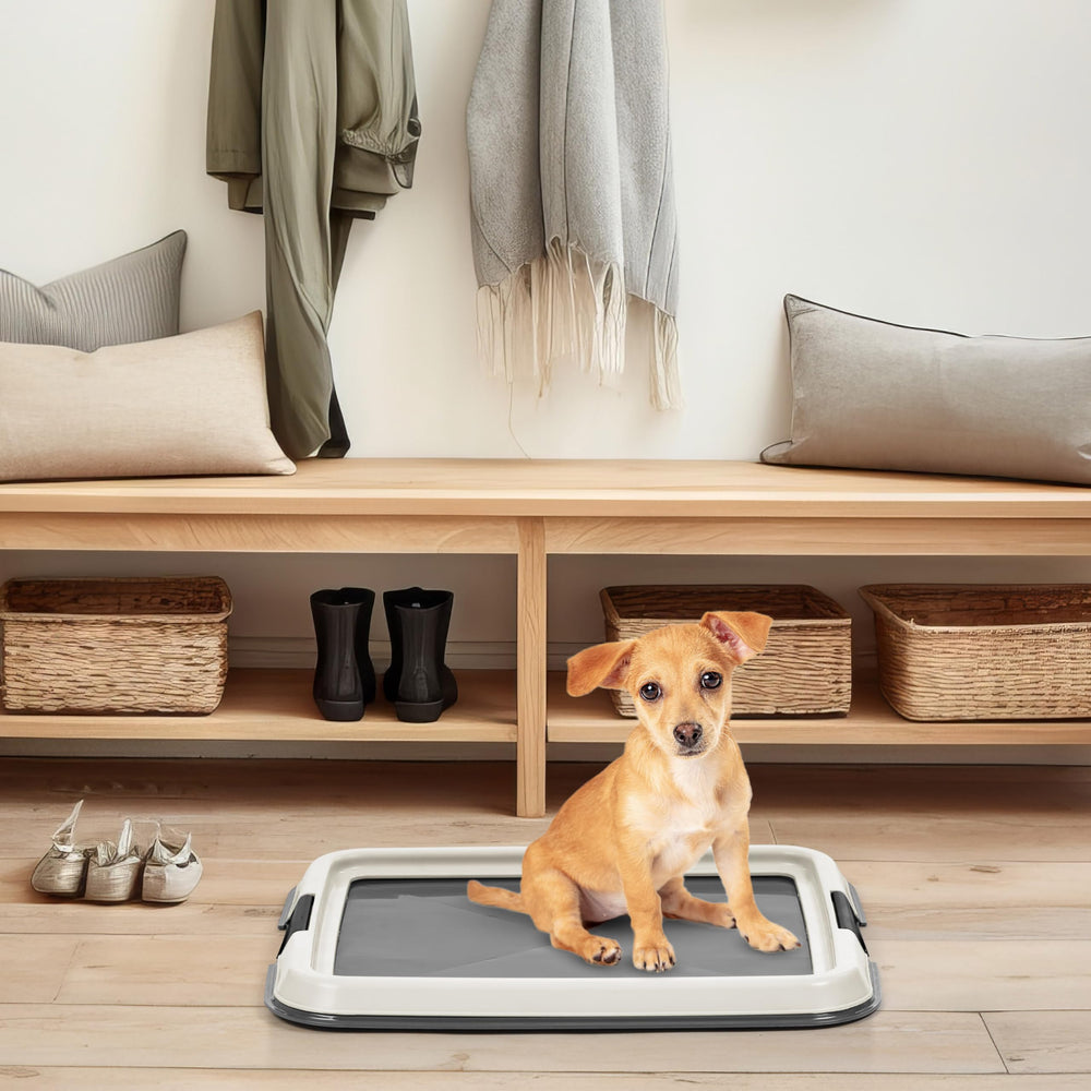 Compact IRIS tray fits in small spaces like apartments or offices