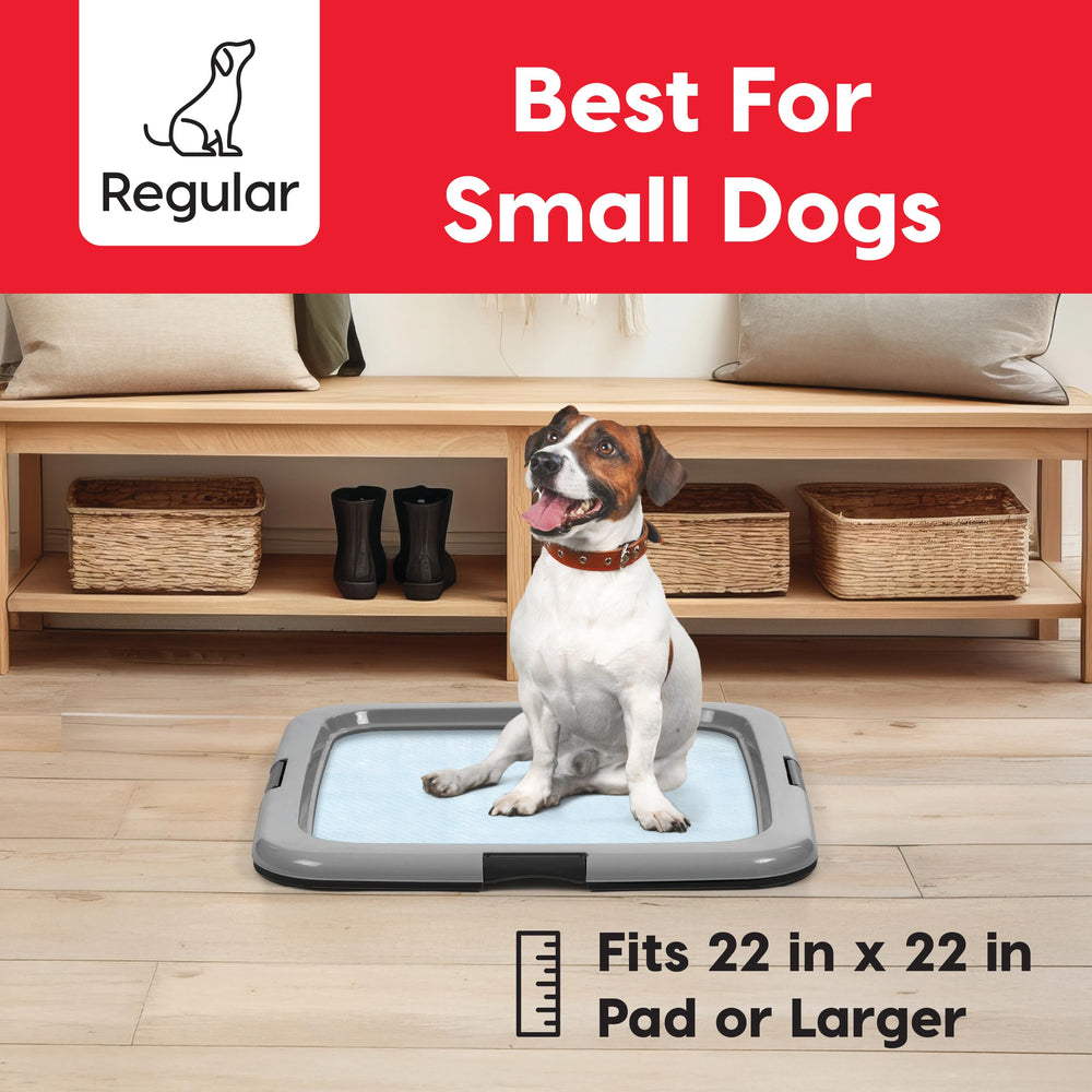 IRIS USA pee pad holder dog-training tray ensures quick pad changes and tidy spaces.
