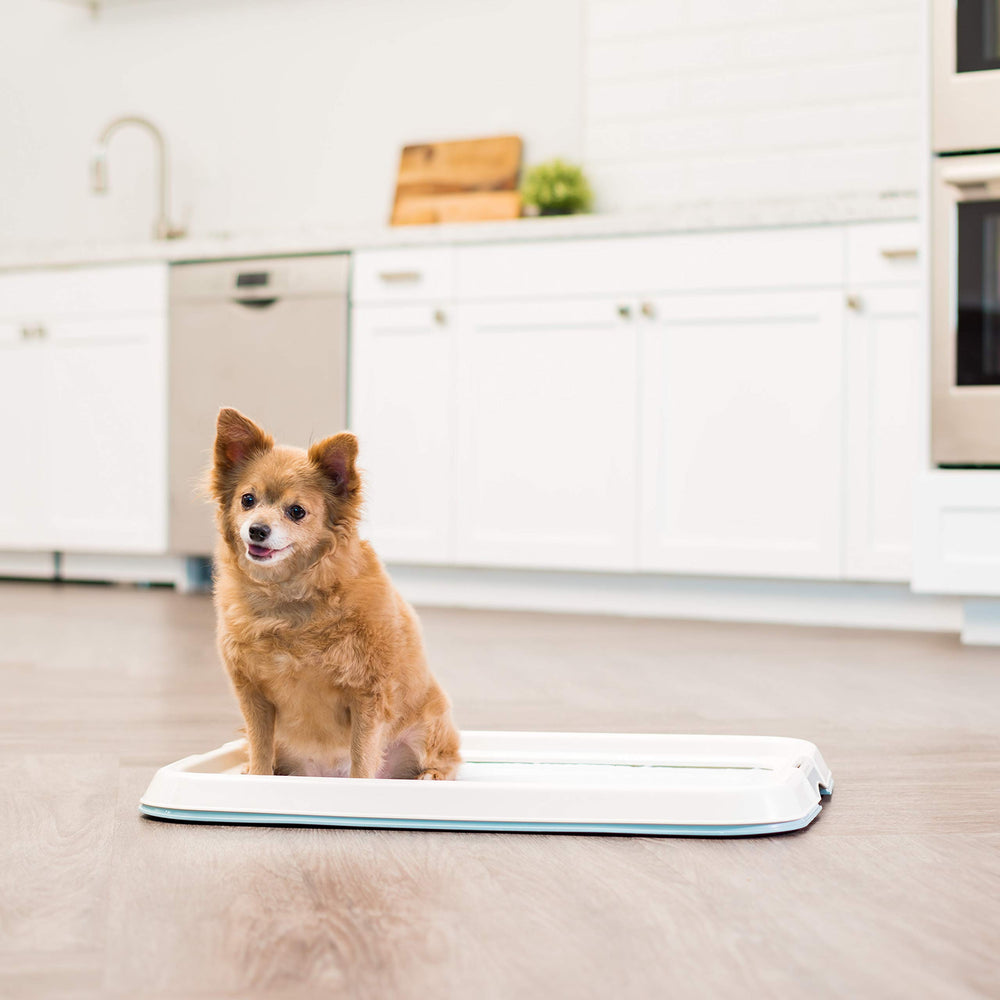 IRIS USA Pee Pad Holder prevents tearing and shifting during potty training.