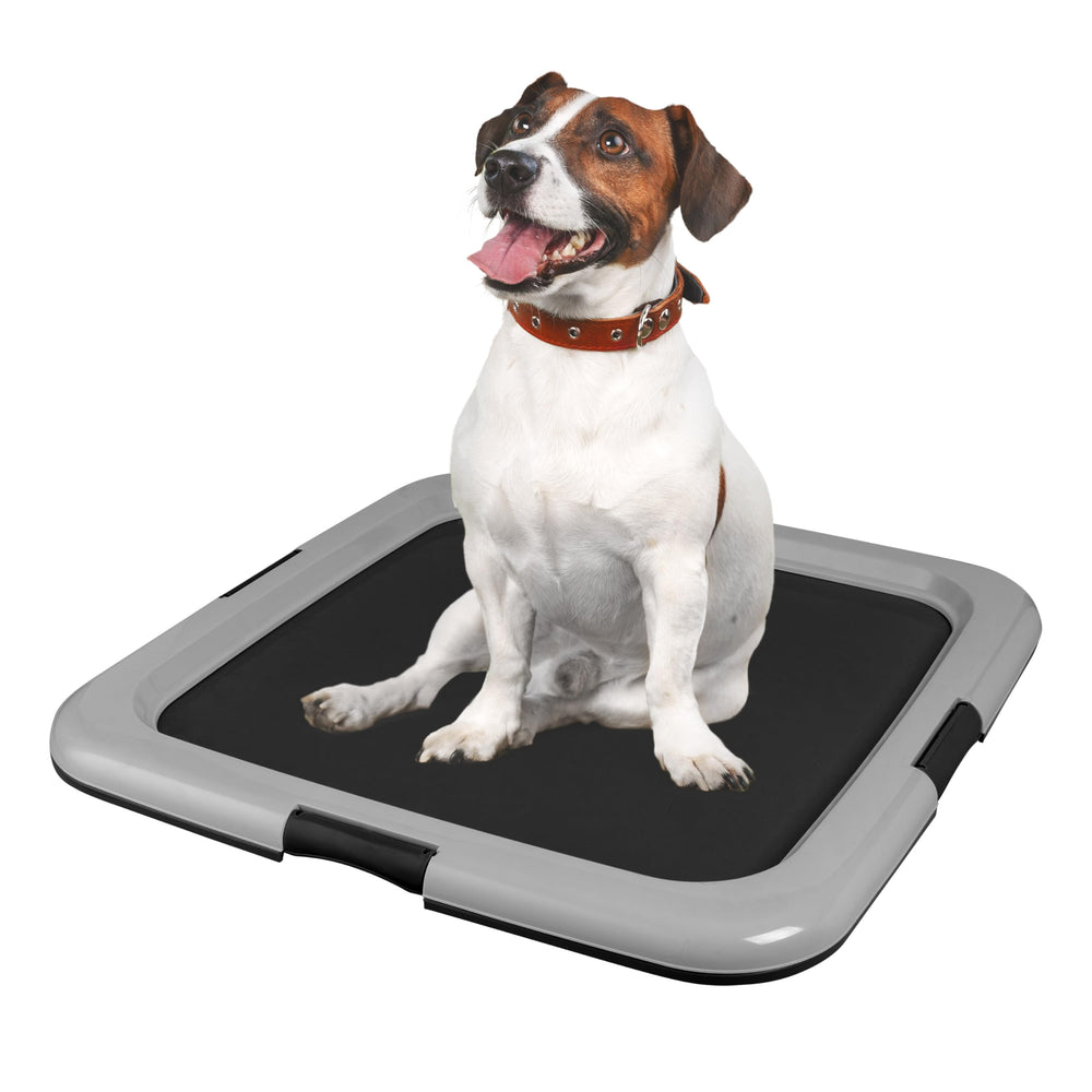 IRIS USA tray provides leak protection and easy surface for swift cleanup.