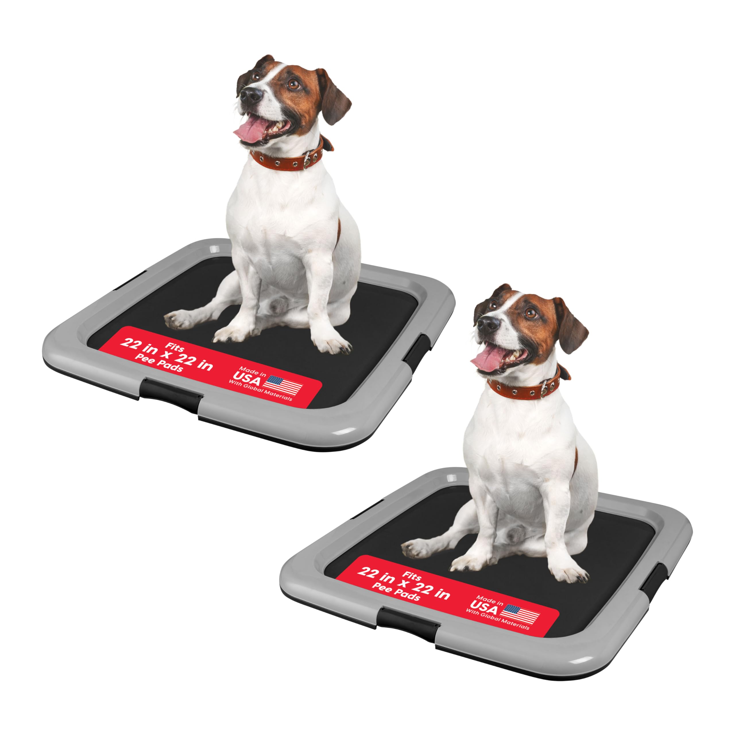 IRIS USA Pee Pad Holder with locking frame keeps pads secure during training and multi-dog homes.