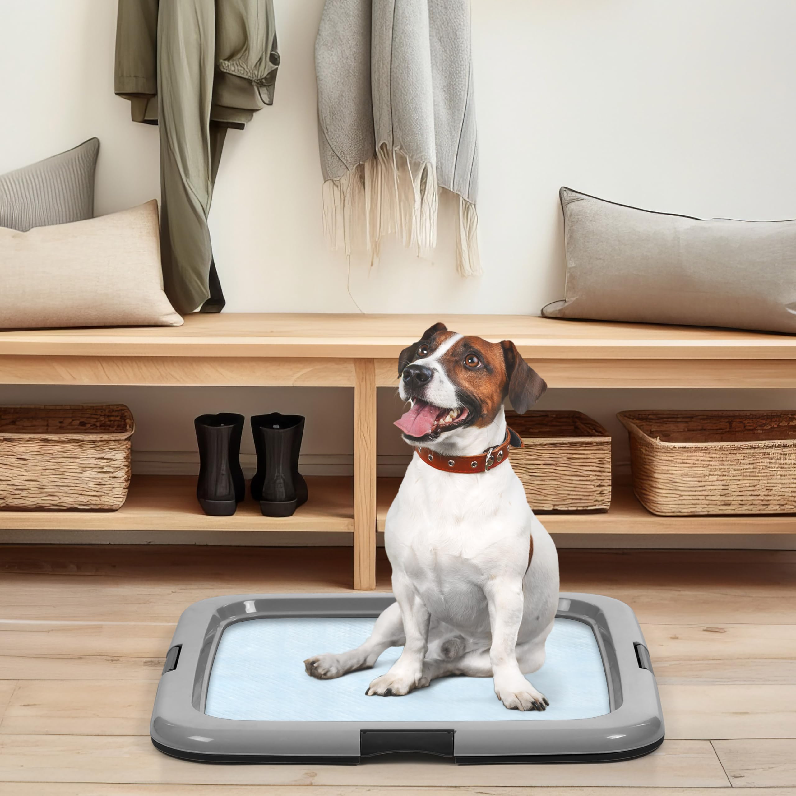 IRIS USA Pee Pad Holder ideal for multi-dog homes and busy households