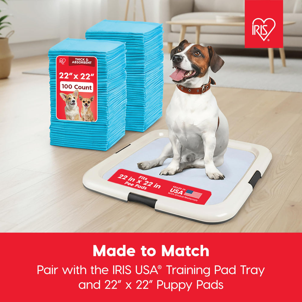 IRIS USA Pee Pad Holder secured latches keep pads in place during training