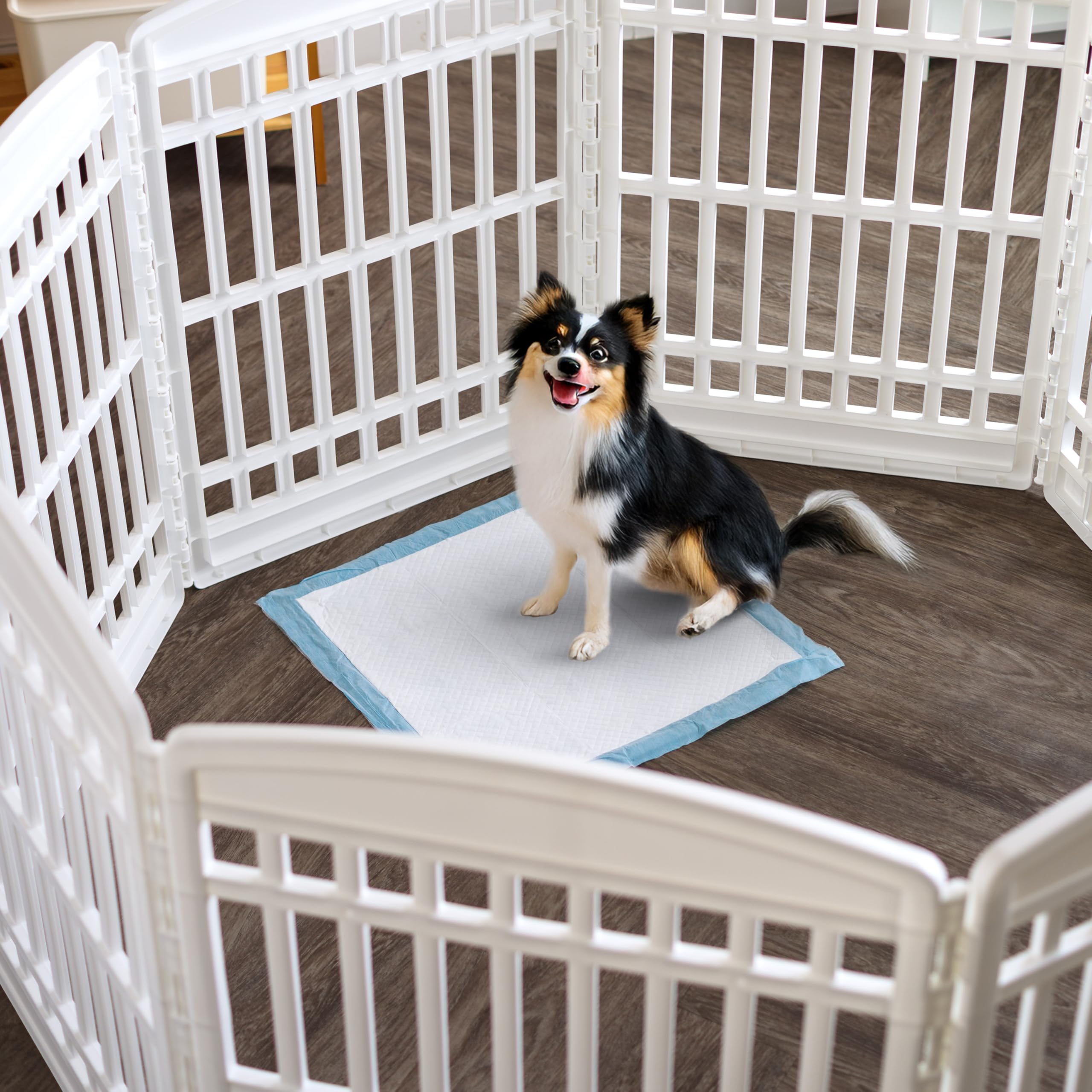 IRIS USA puppy pads 22x22 bulk-pack for hassle-free training