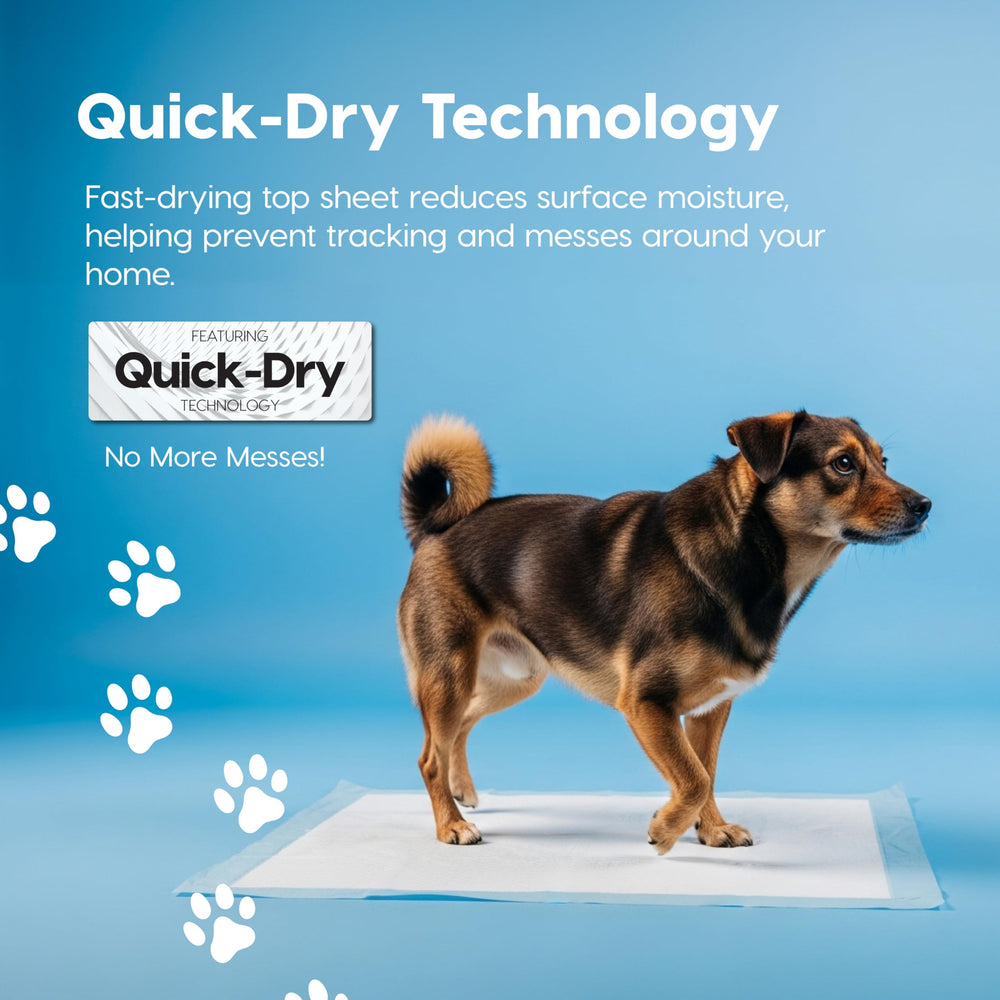 IRIS USA puppy pads 6-layer design ensures absorbency and protection