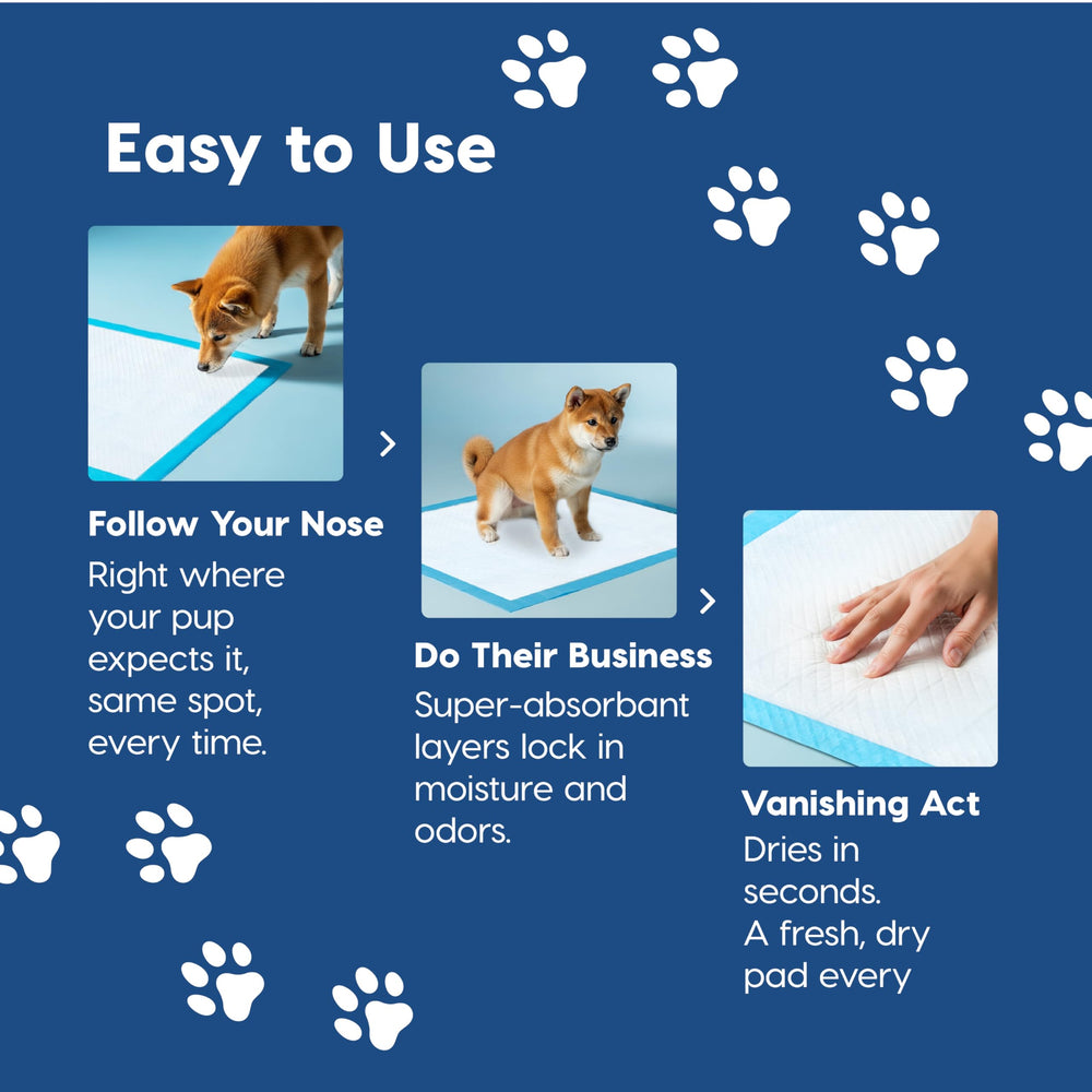 IRIS USA puppy pads 100-count for multi-dog households and travel