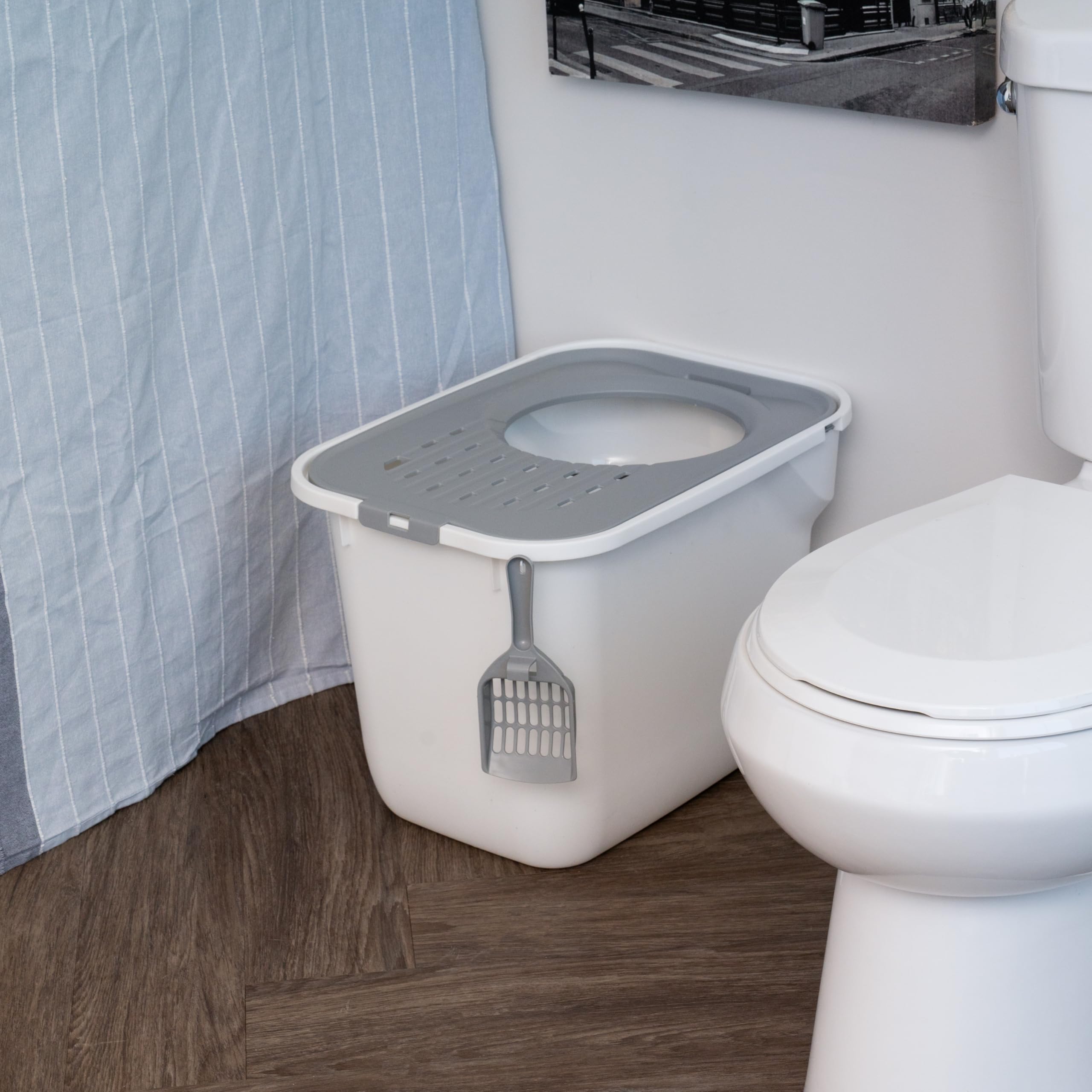 IRIS USA removable lid enables quick, easy cleaning