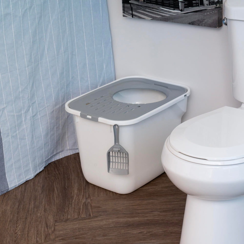 IRIS USA removable lid enables quick, easy cleaning