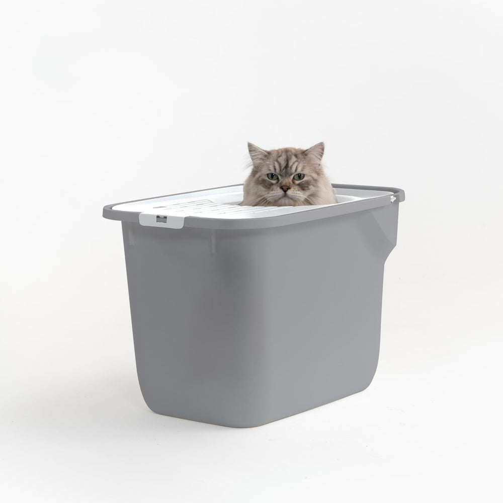 IRIS USA rounded shape supports comfy entry and easy turning for cats.