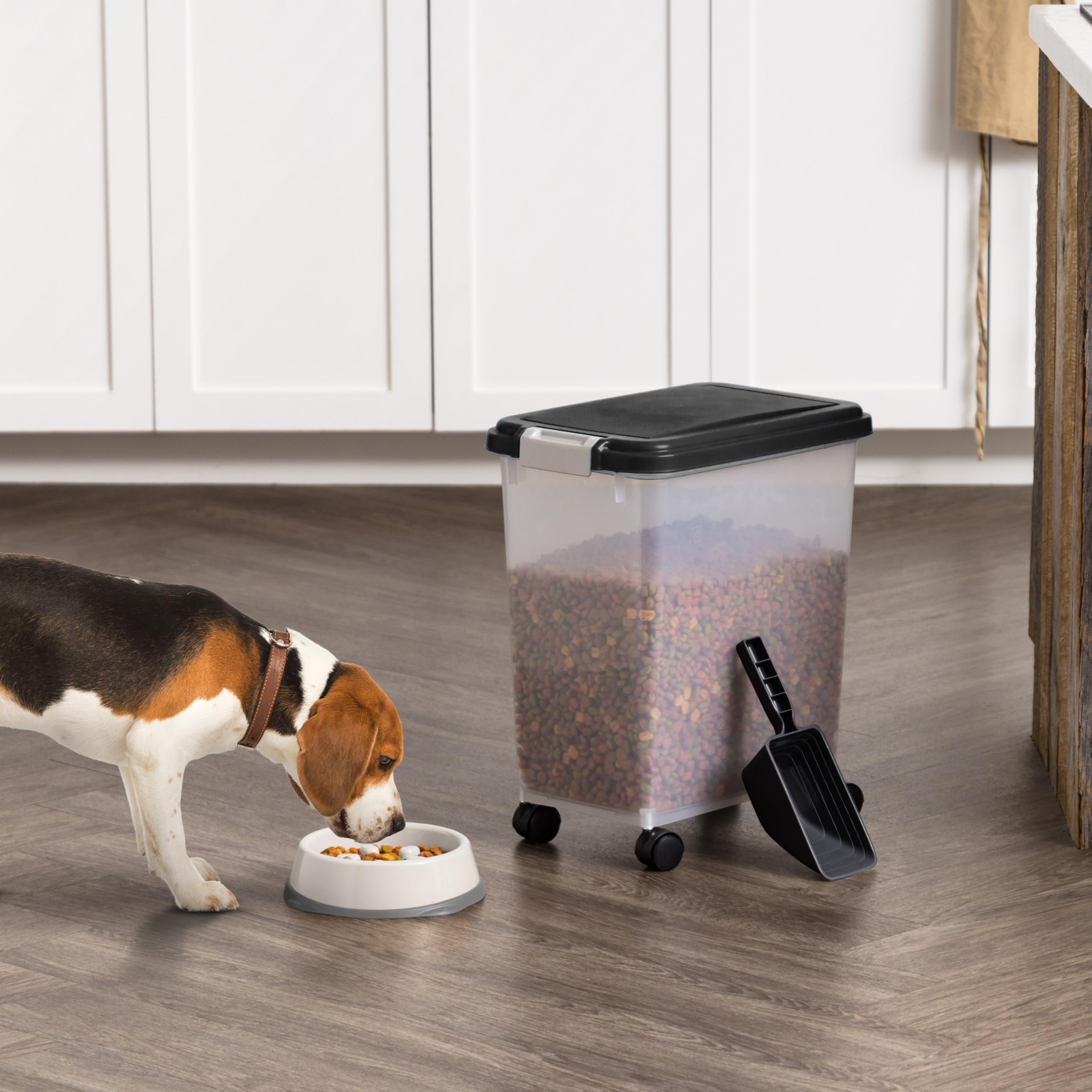IRIS USA slow feeder bowl encourages paced eating and reduces gulping.