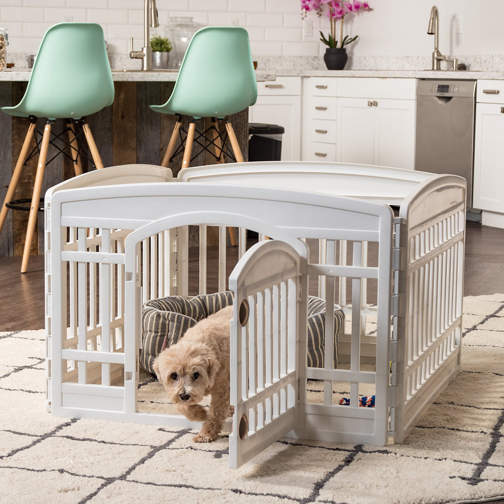 IRIS USA suitable for small to medium dogs at home