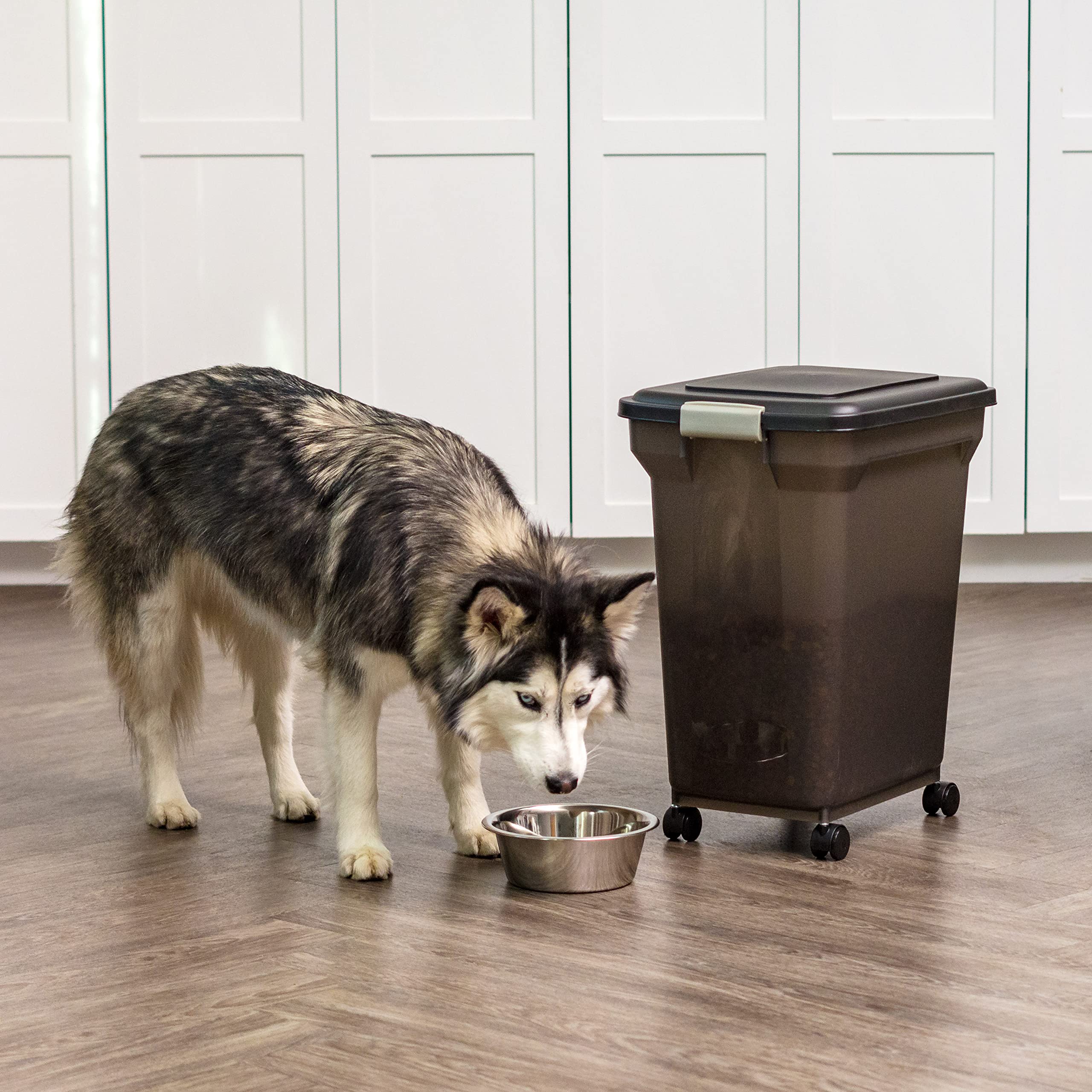 USA-made BPA-free construction ensures safe storage of dry foods.