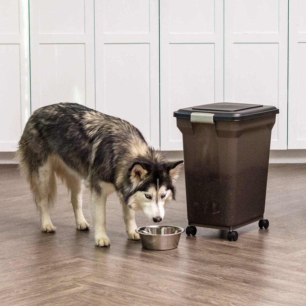 USA-made BPA-free construction ensures safe storage of dry foods.