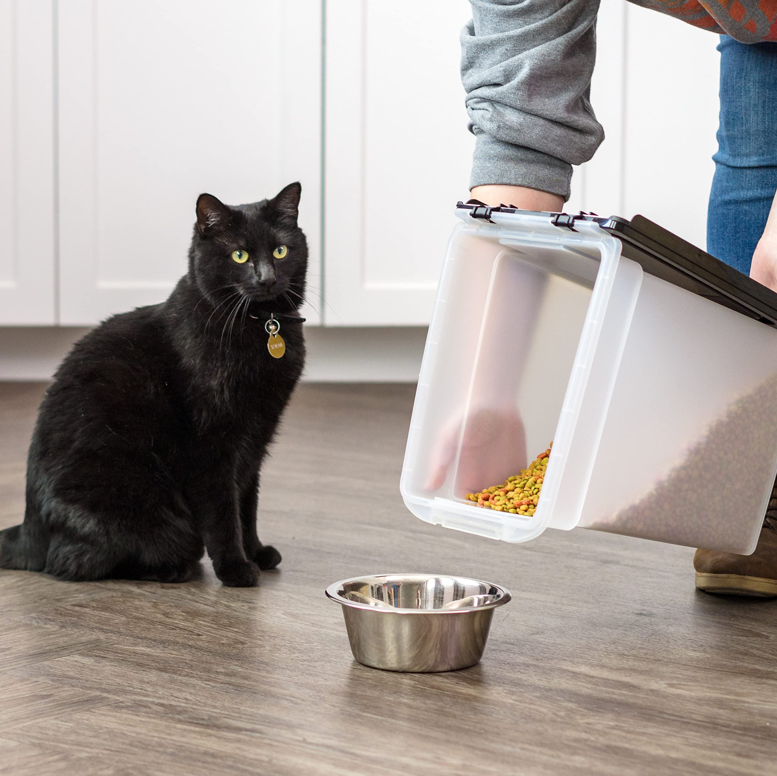IRIS WeatherPro stores dog food, cat food, and bird seed