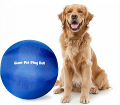 Iron Paws Giant Pet Play Ball in use outdoors to promote active play