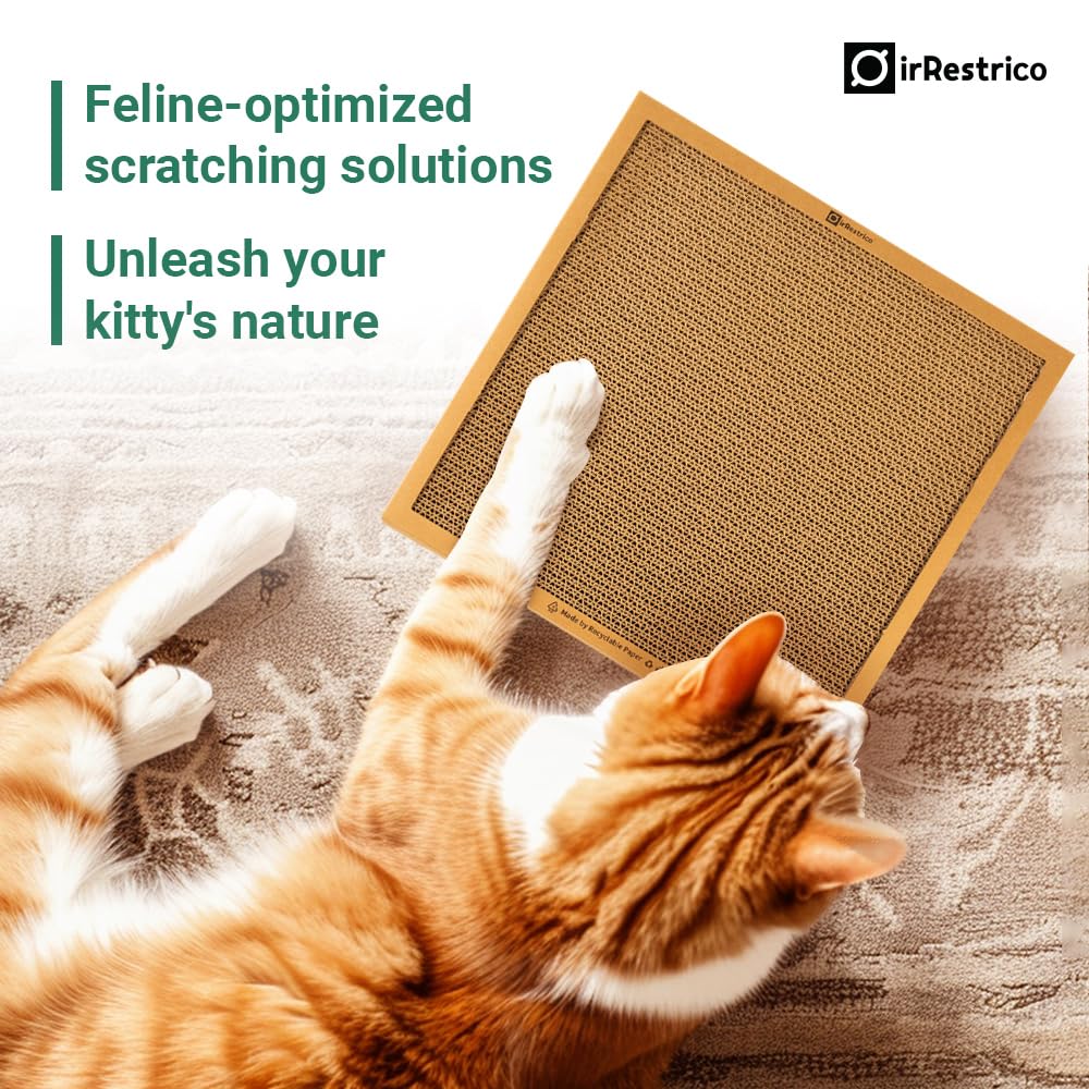 IRRESTRICO ideal for multi-cat homes as a play lounge