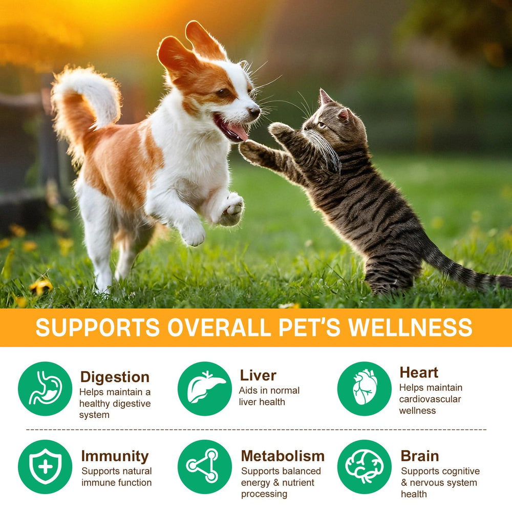 IRSRDOQU bacon-flavor pet treat for easier feeding and palatability.