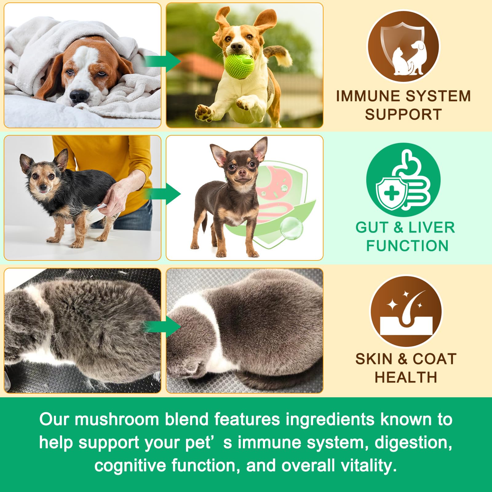IRSRDOQU powder boosts mealtime interest and routine.