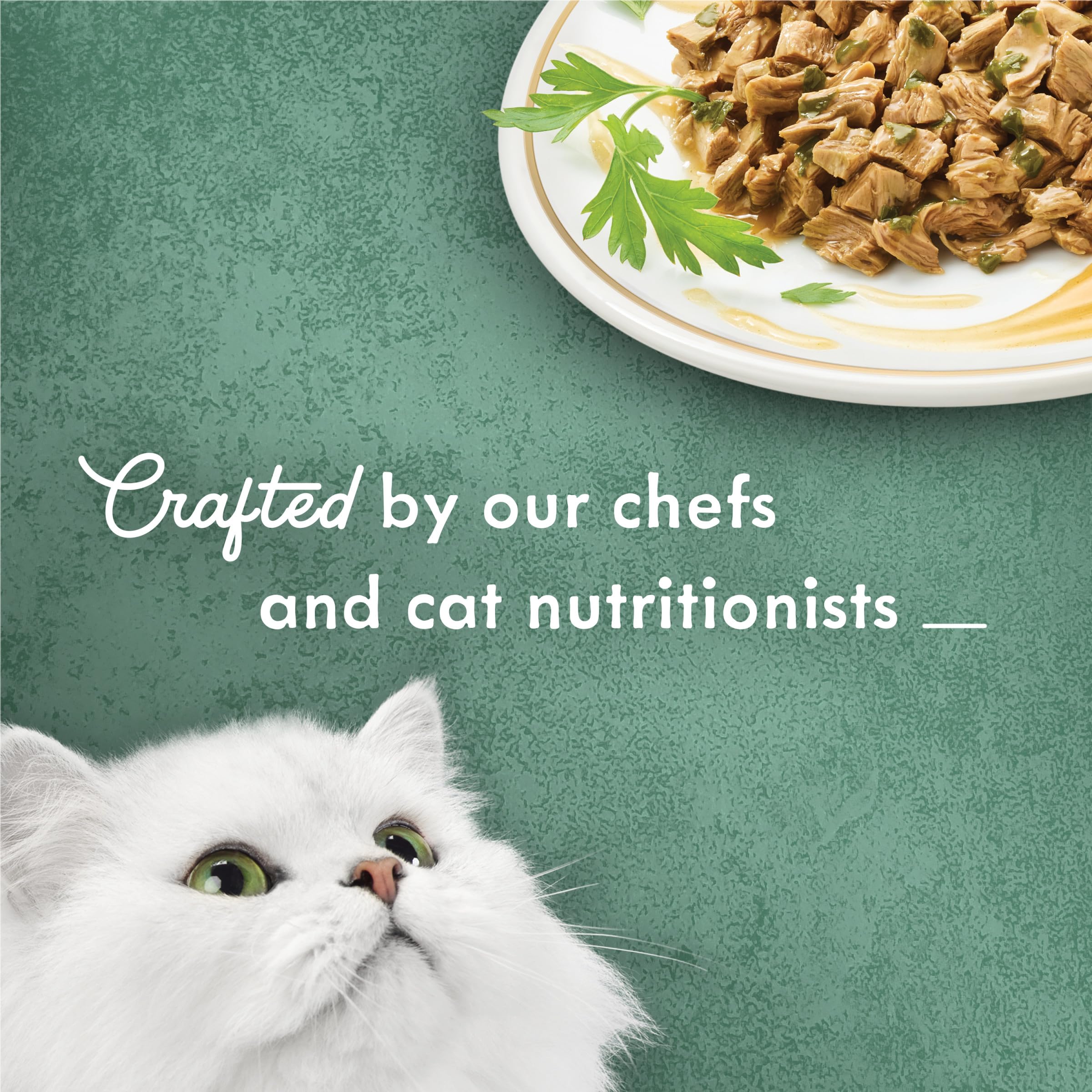 Florentine-inspired recipe note highlights gourmet feel in Fancy Feast Medleys.