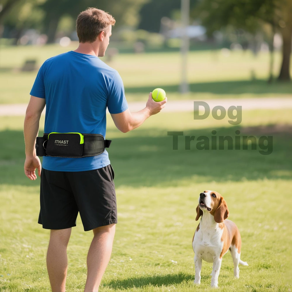 ITNAST all-in-one utility belt keeps essentials within reach