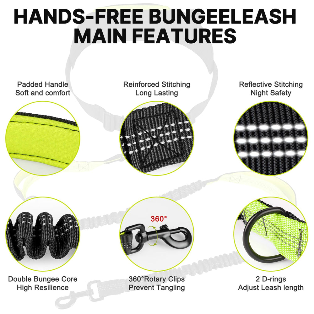 ITNAST leash with dual handles for quick control in crowds