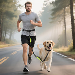 ITNAST leash with reflective stitching for safer early morning runs