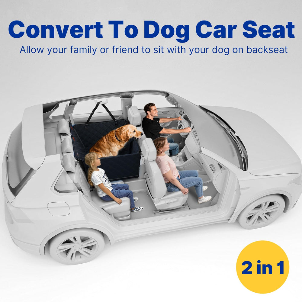 ITNAST spacious setup allows two medium dogs to relax comfortably.