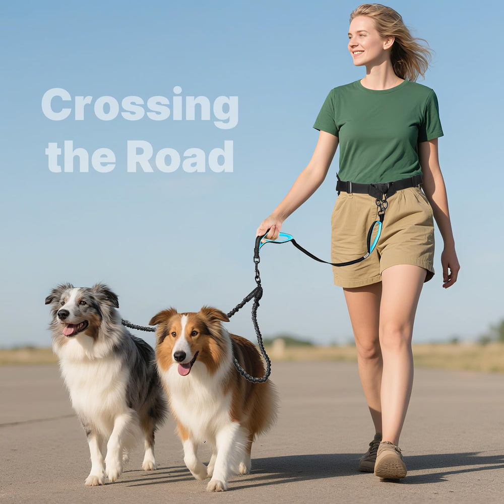 ITNAST two-dog walking kit helps you manage both dogs safely