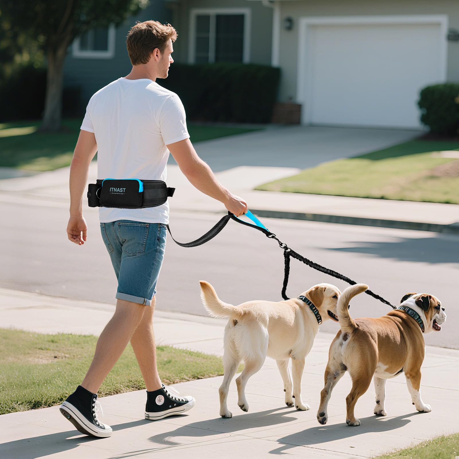 ITNAST all-in-one utility belt keeps treats, bags, phone, and keys within reach
