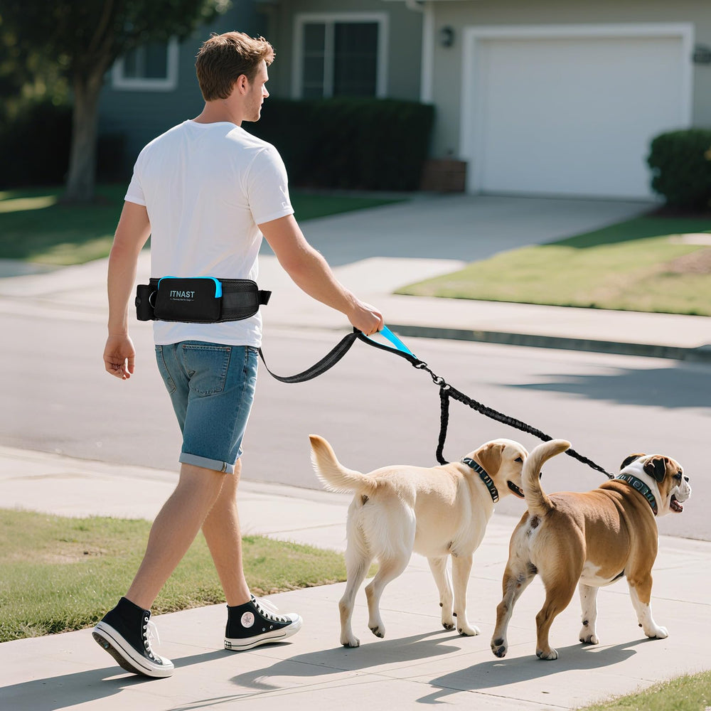 ITNAST all-in-one utility belt keeps treats, bags, phone, and keys within reach