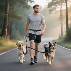 ITNAST lumbar-support waist belt enhances comfort during long walks with two dogs