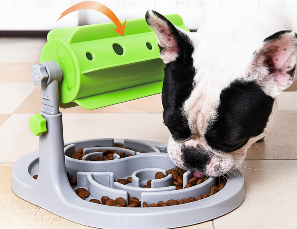 Ito Rocky anxiety-training feature supports focused play and enrichment.