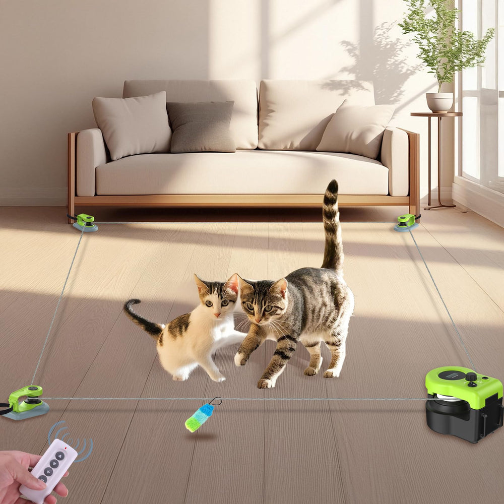 ITSHINY Interactive Cat Toy in green, front view, boosts indoor play and activity