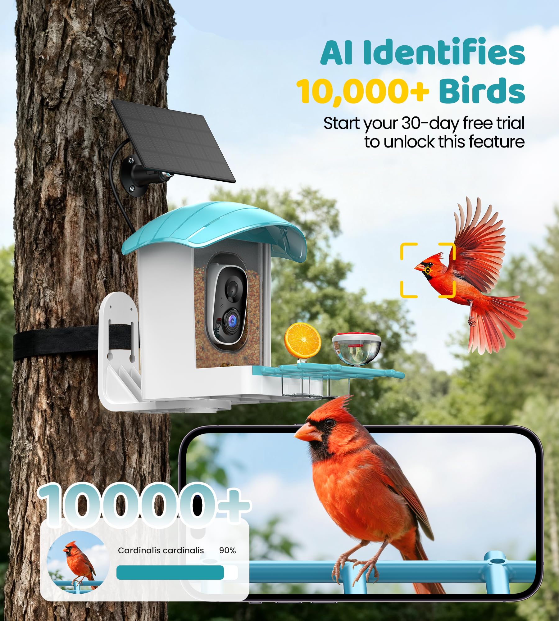IUUZEUL Pan-tilt camera captures wide views for more bird sightings.