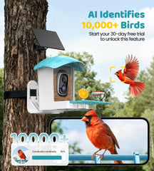 IUUZEUL Pan-tilt camera captures wide views for more bird sightings.