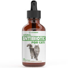 iVitamins Cat Antibiotic bottle with chicken flavor for daily wellness.