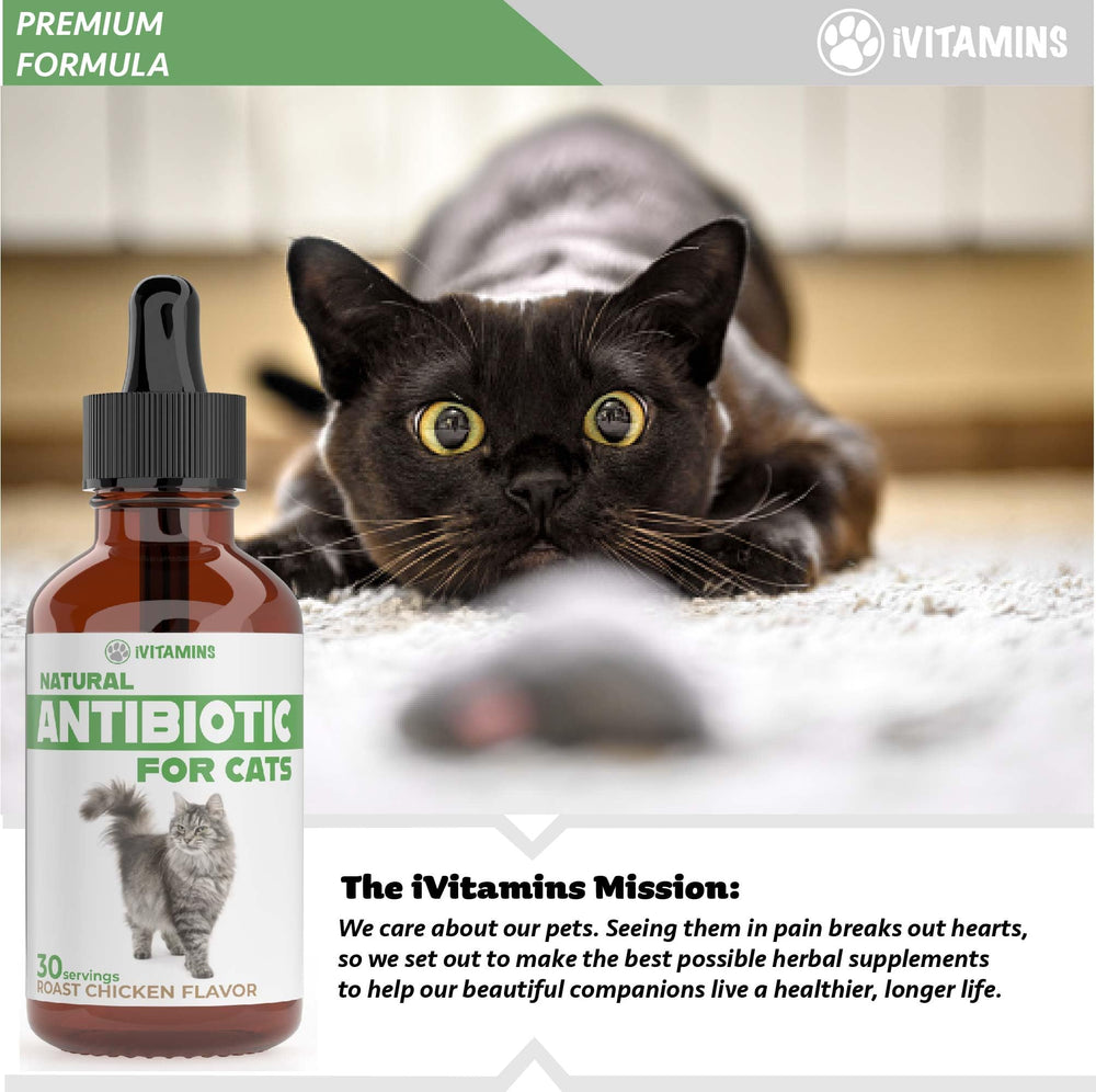 iVitamins Cat Antibiotic cruelty-free label on packaging.