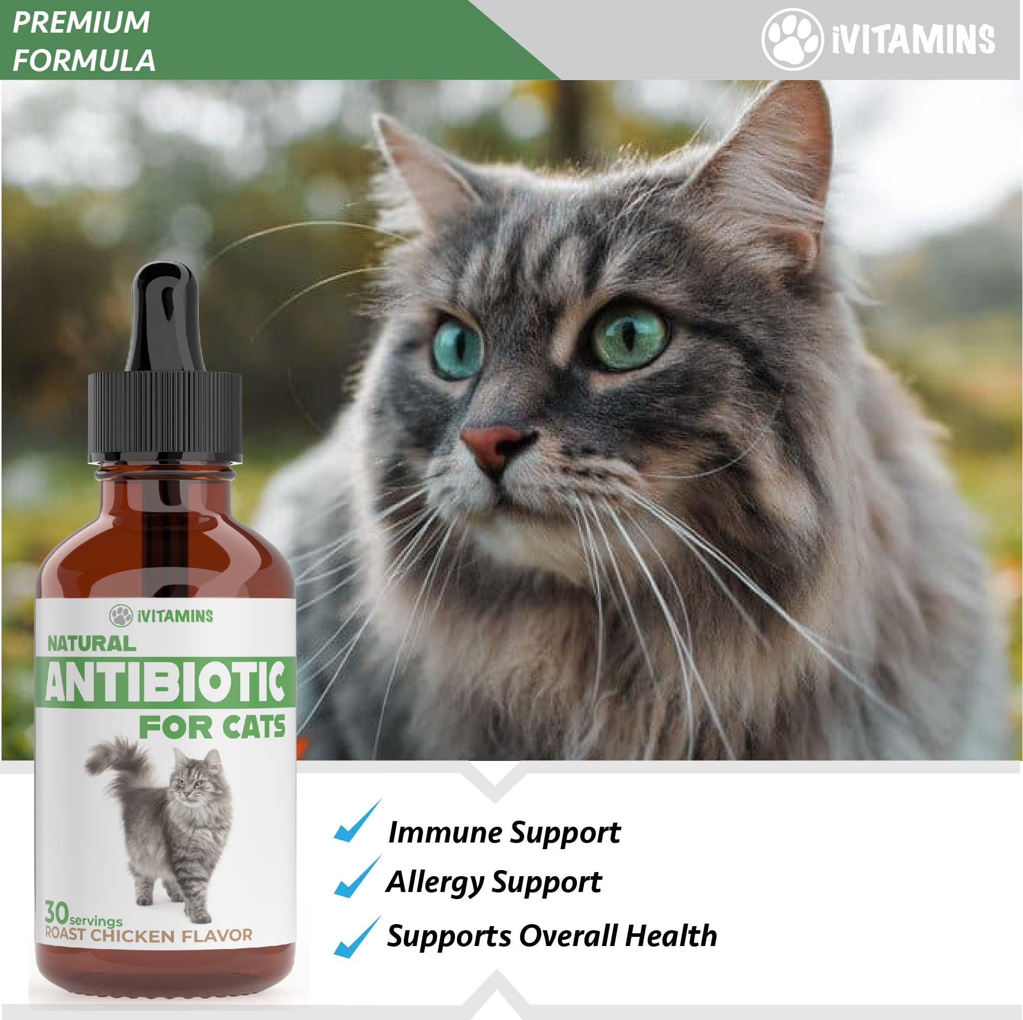 Close-up of iVitamins Cat Antibiotic drops for easy dosing.