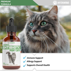 Close-up of iVitamins Cat Antibiotic drops for easy dosing.