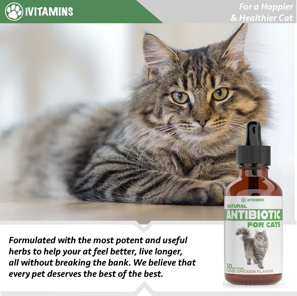 iVitamins Cat Antibiotic ingredients highlight natural components.