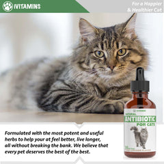 iVitamins Cat Antibiotic ingredients highlight natural components.