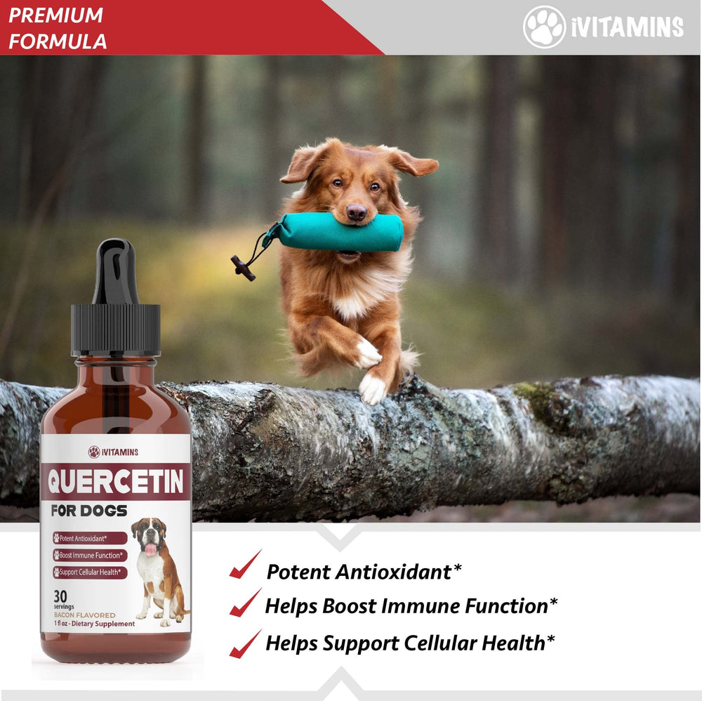 iVitamins Quercetin for Dogs bacon flavor drops appealing to pets during dosing