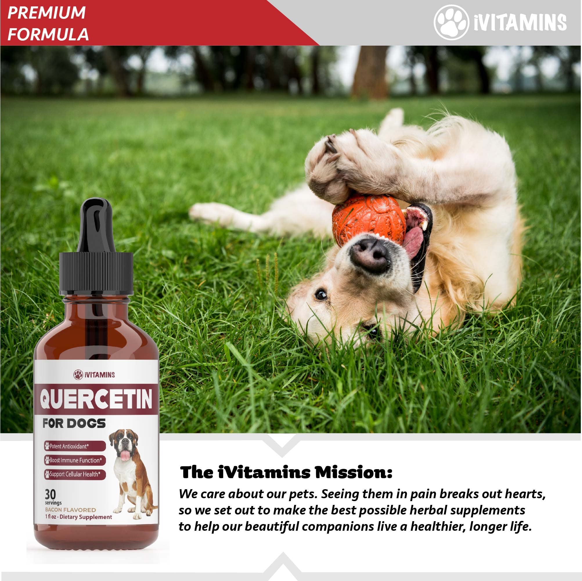 iVitamins Quercetin for Dogs packaging emphasizes USA-made quality and care