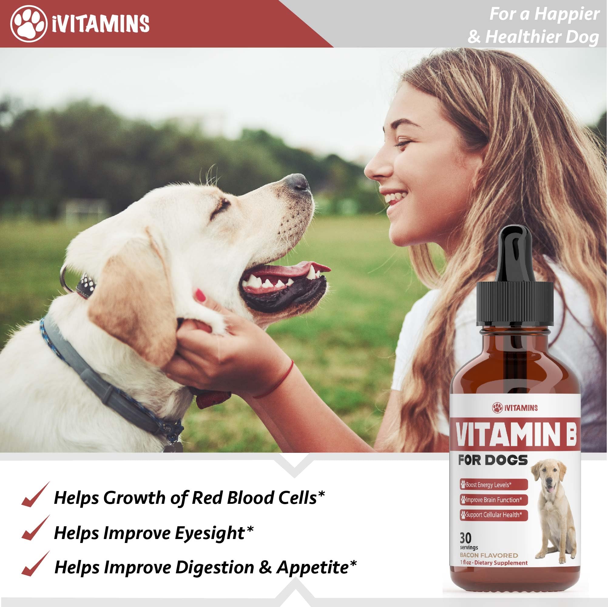iVitamins Vitamin B for Dogs all-breeds drops for daily health